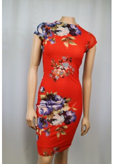 Floral Print Mesh Dress