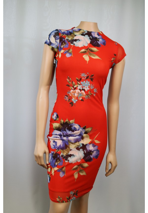 Floral Print Mesh Dress